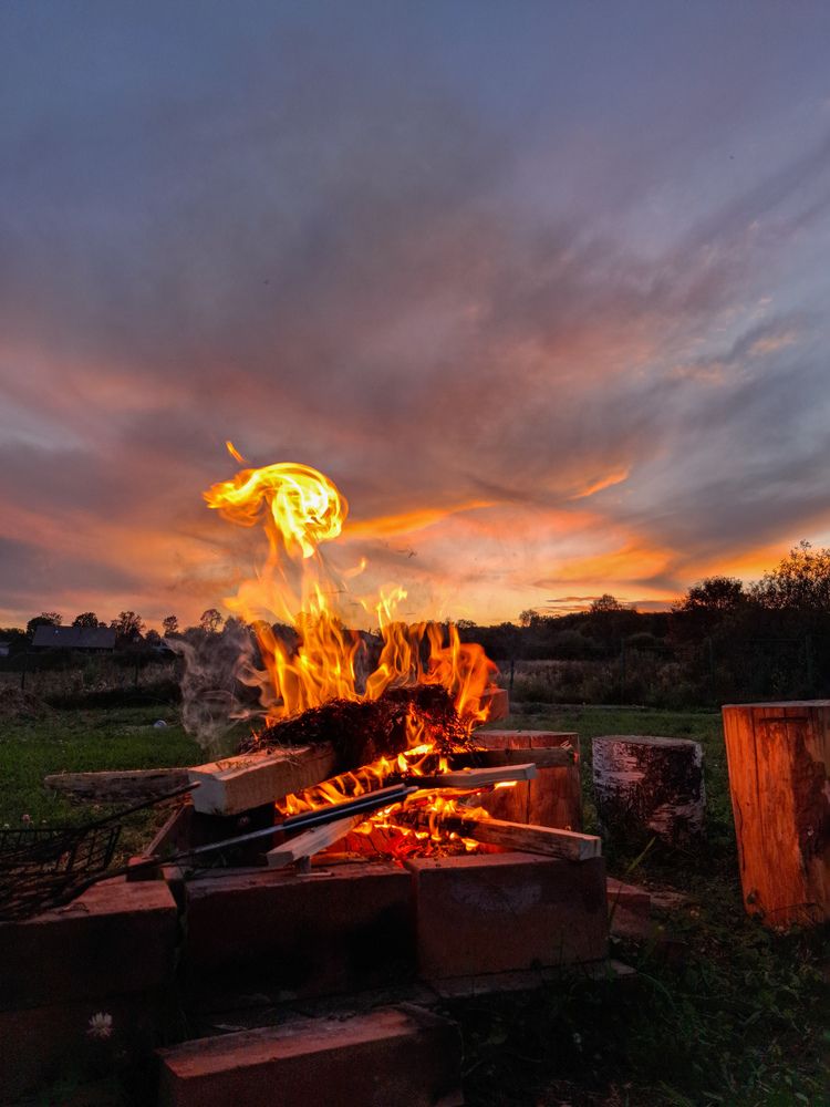 Photograph by Анастасия Гурова