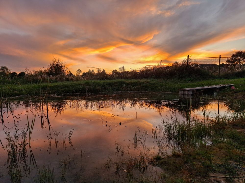 Photograph by Анастасия Гурова