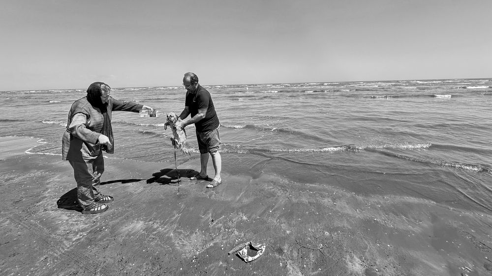 Photograph by shabu joseph