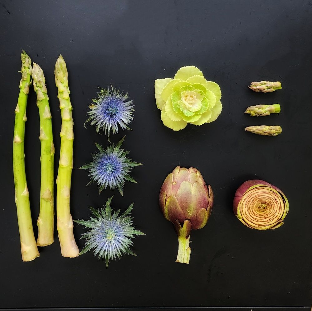 Photograph by Lera Mingova