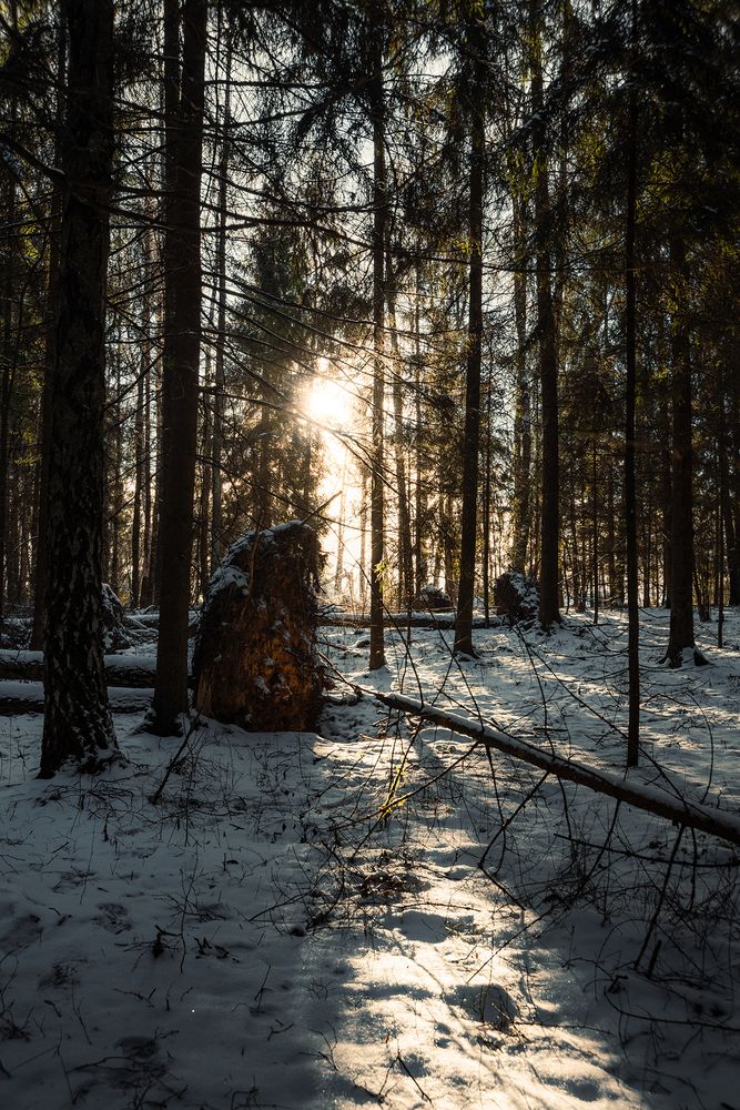 Photograph by Колесенко Иван