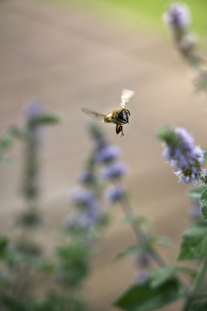 Photograph by FILIP BETKO