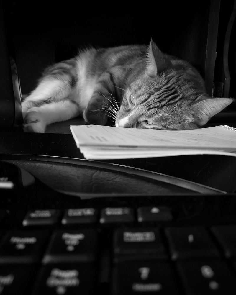 Photograph by Андрей Родионов