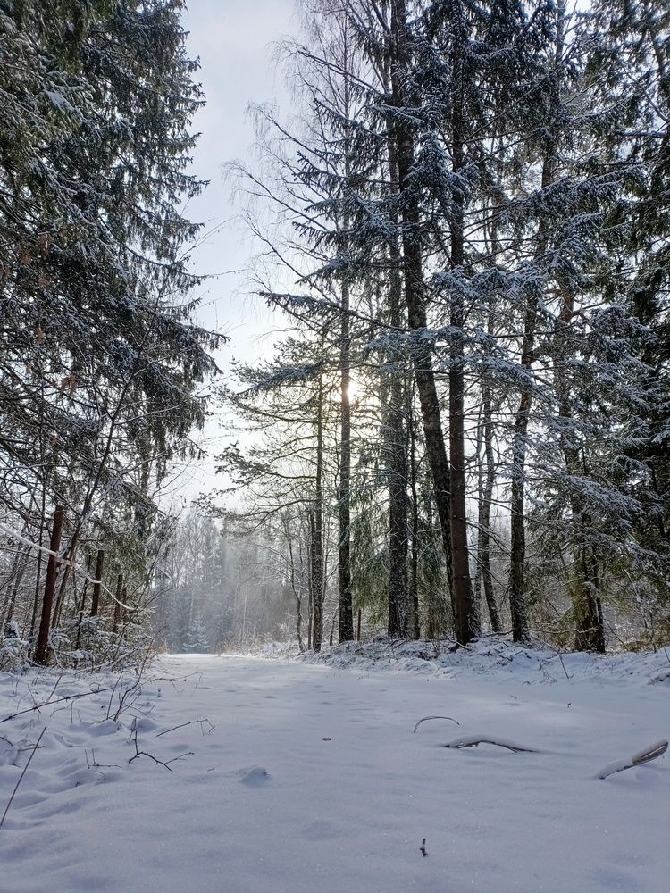 Фотография автора Роман Савин