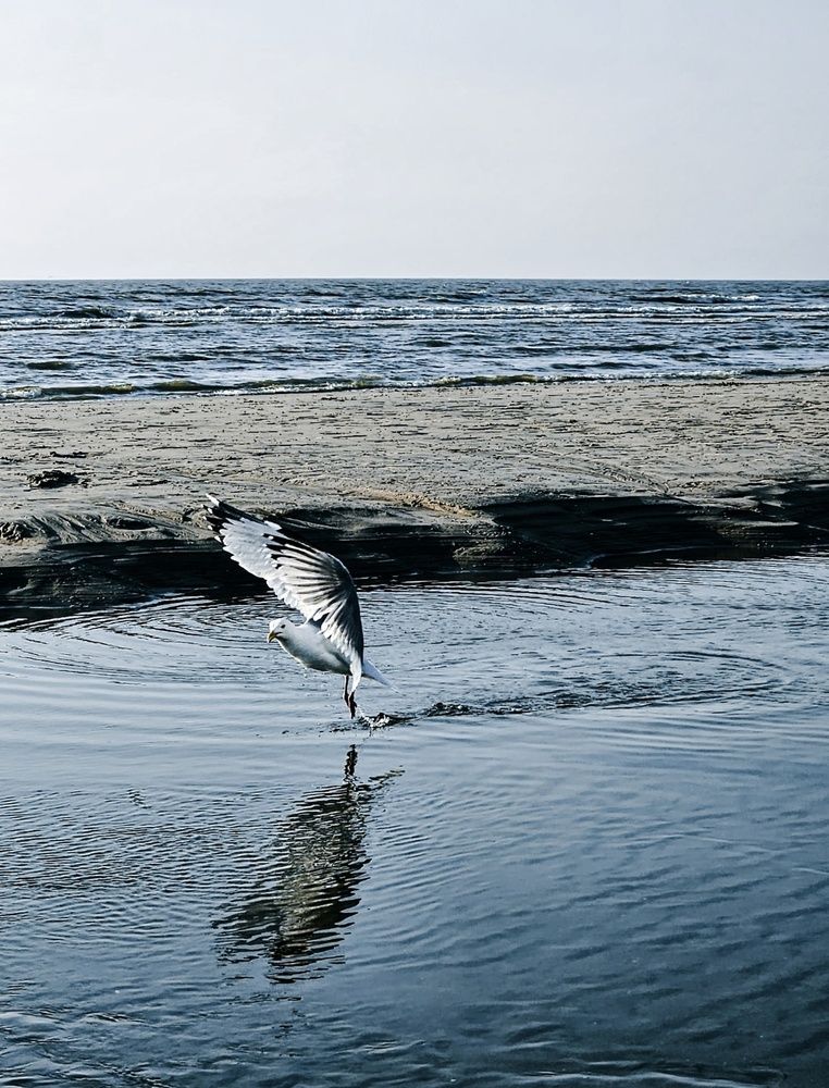 Photograph by Елена Биберштайн