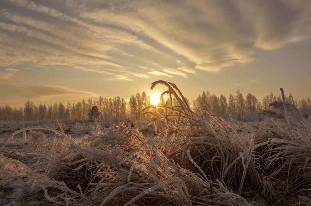 Photograph by Сергей Герасимов