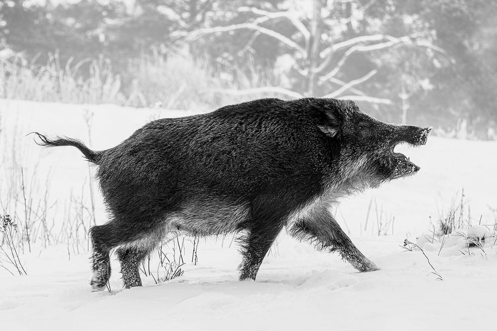 Photograph by Анжелика Титова