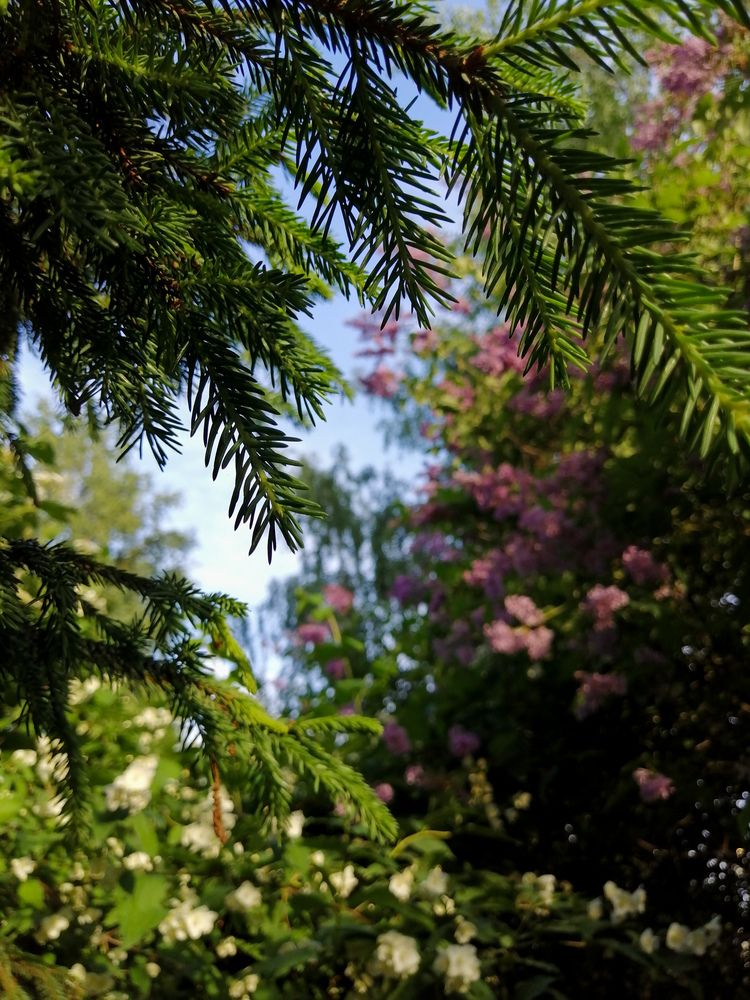 Photograph by Серафима Футлярова