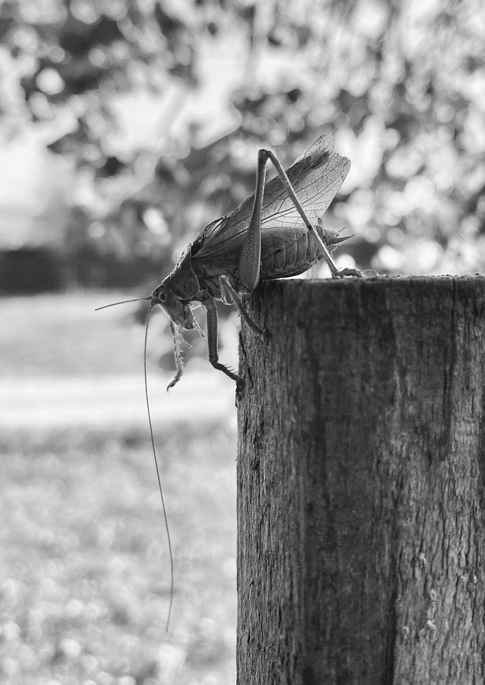 Фотография автора Рожнов Кирилл