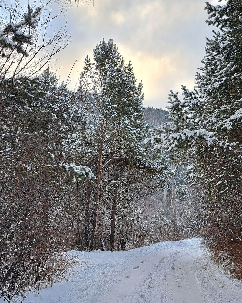 Photograph by Оксана Юдина