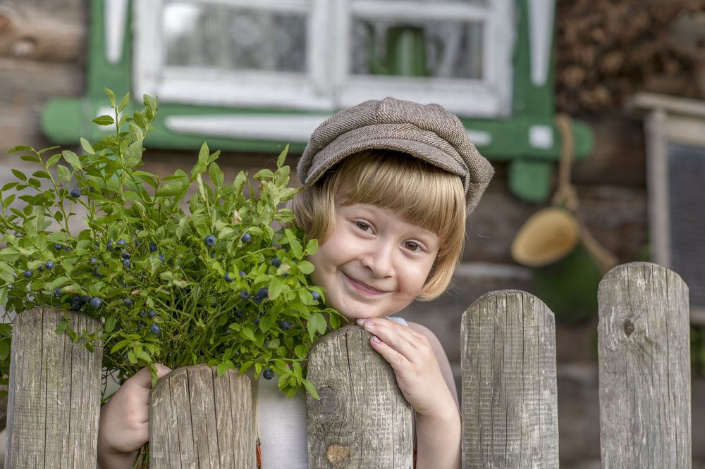 Подарок от Лисички из леса!