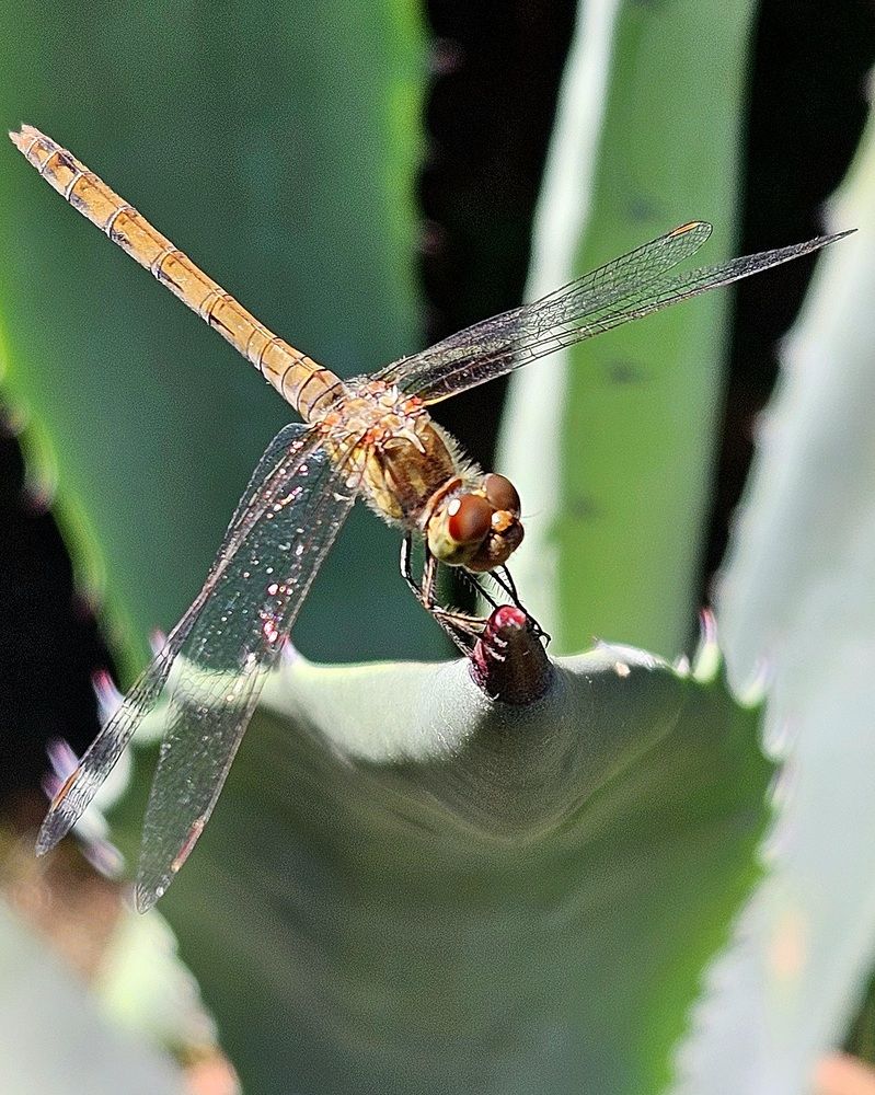 Фотография автора Natalia Cucias