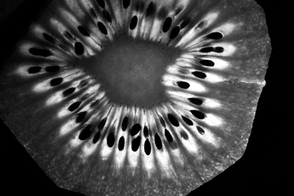 Сияние Киви