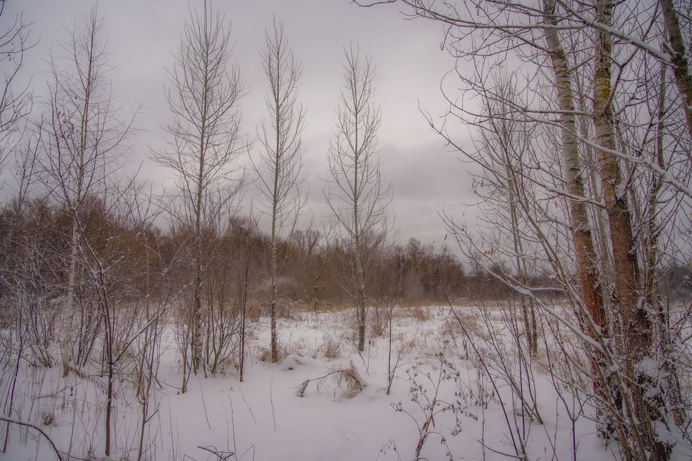 Photograph by Alexey Shevchenko