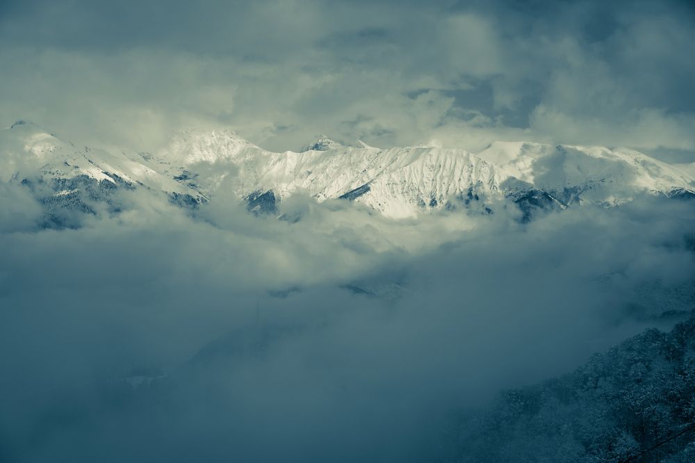 Photograph by Alexey Shevchenko