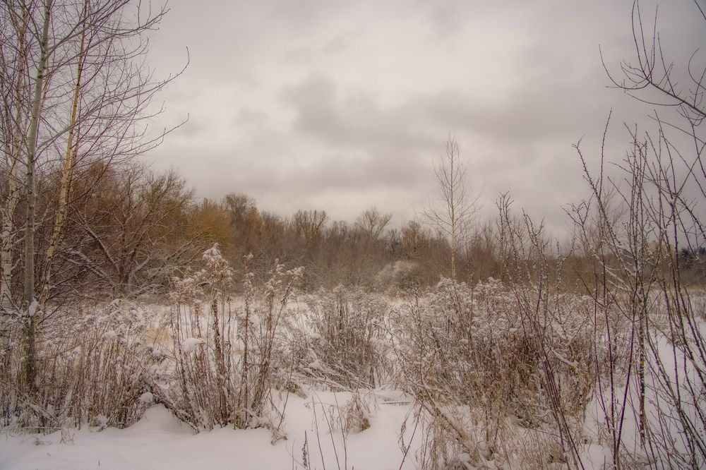 Photograph by Alexey Shevchenko