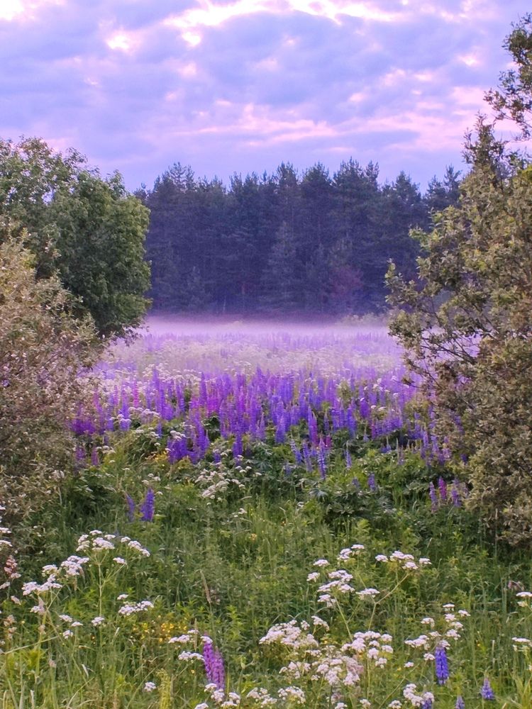 Photograph by Елена Затевалова