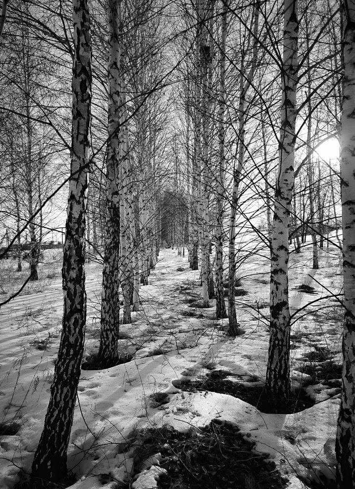 Photograph by Оксана Мельник