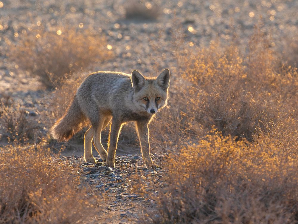 Photograph by Vida Shams