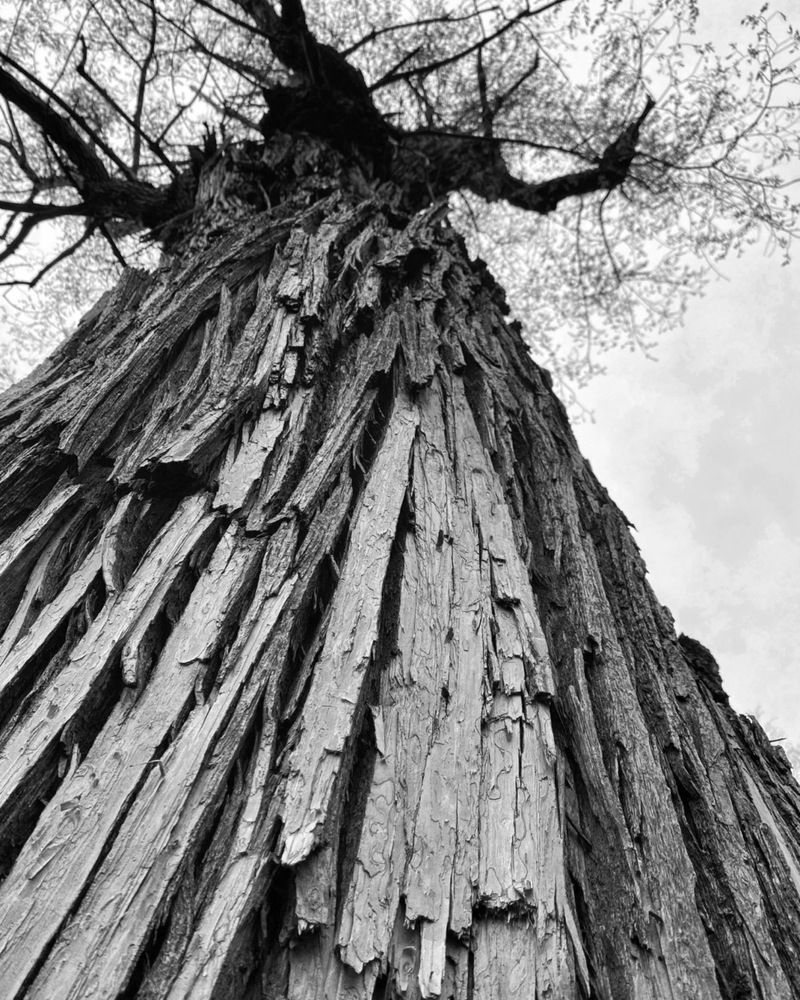 Фотография автора Никита Батищев