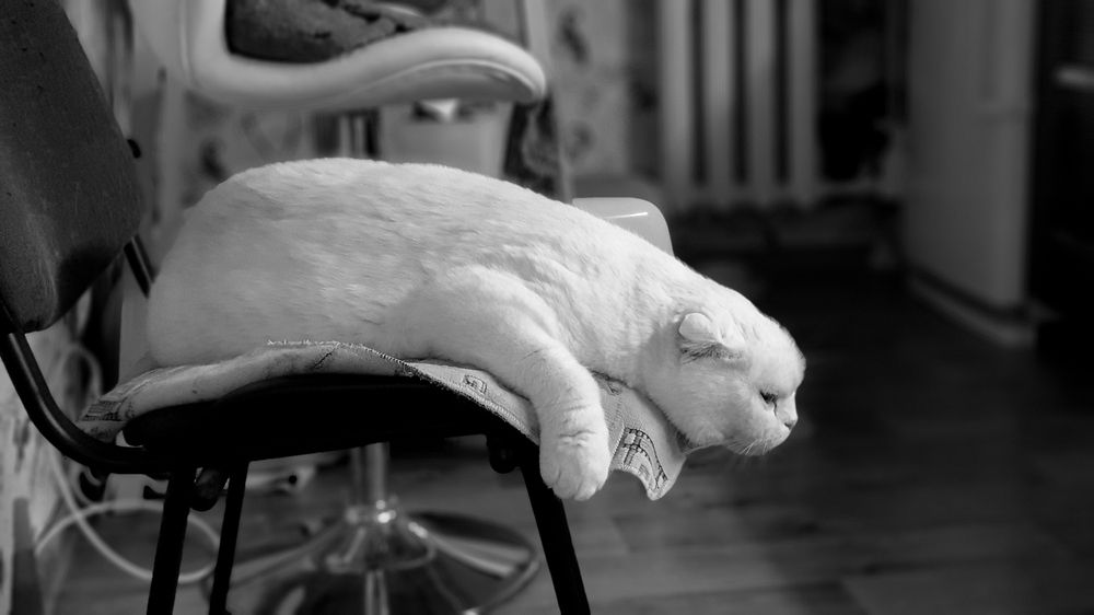 Photograph by Максим Мураков