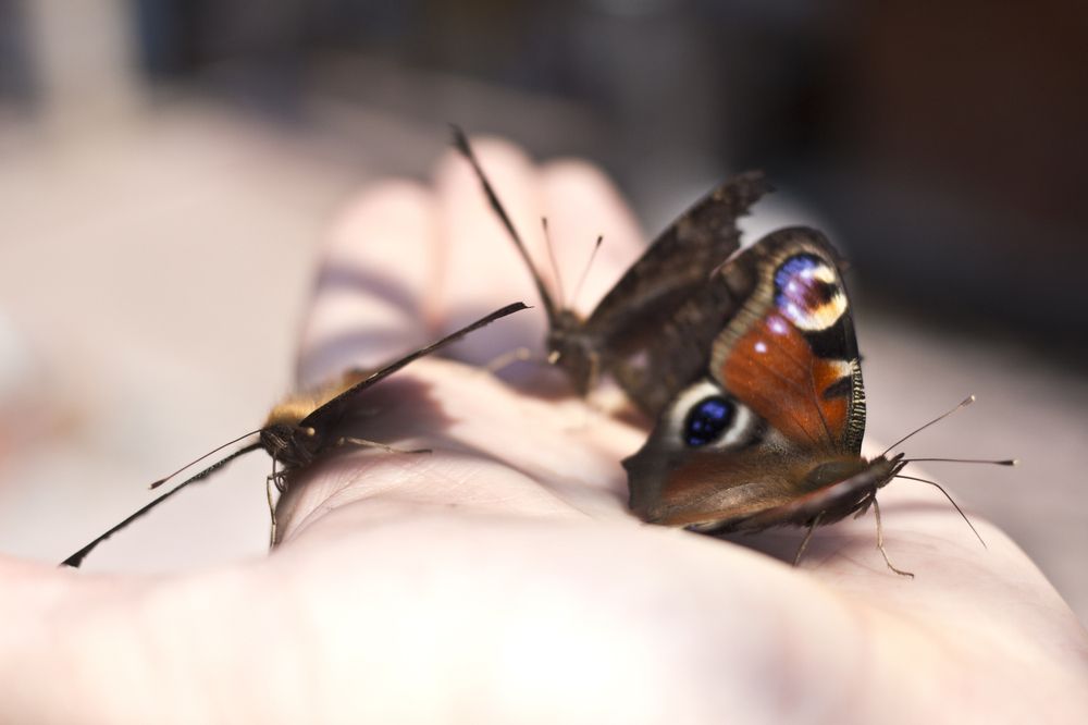 Photograph by Максим Мураков