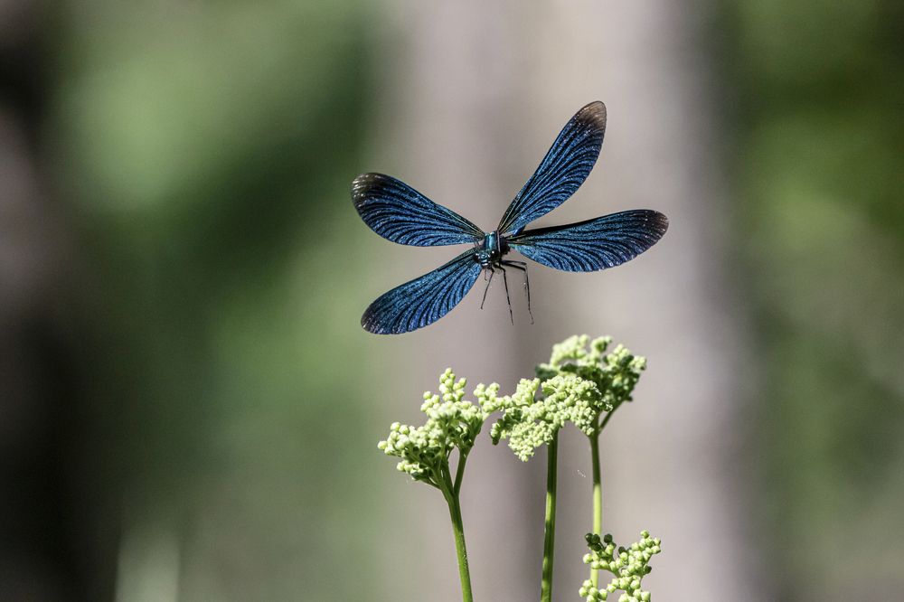 Photograph by Максим Мураков