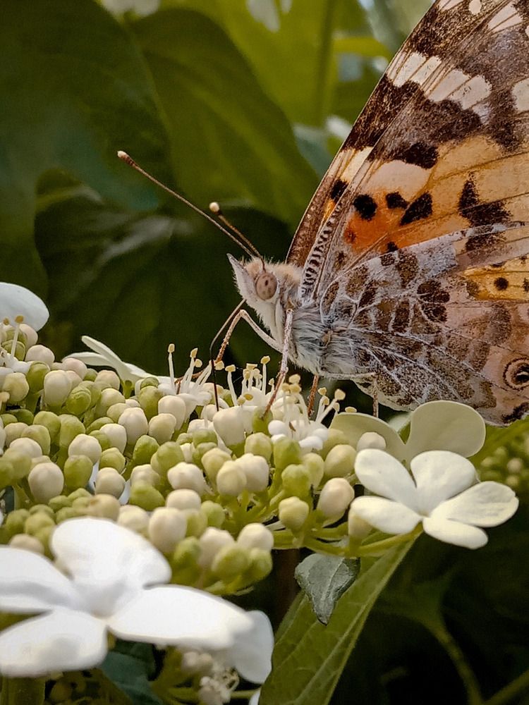 Photograph by Оксана Мельник