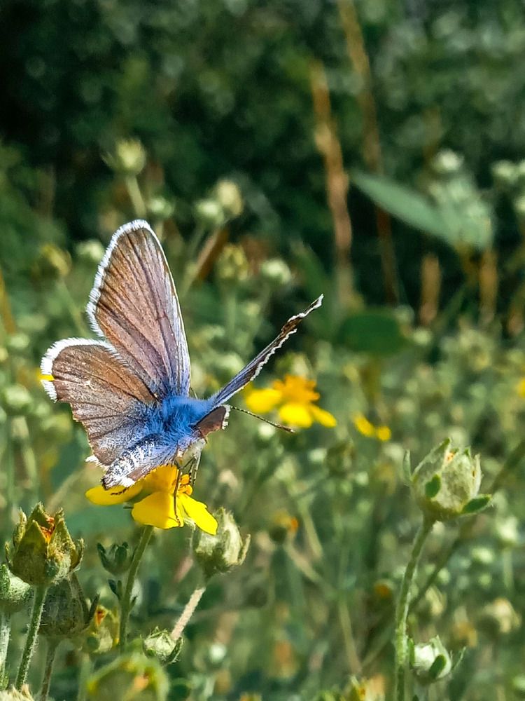 Photograph by Оксана Мельник