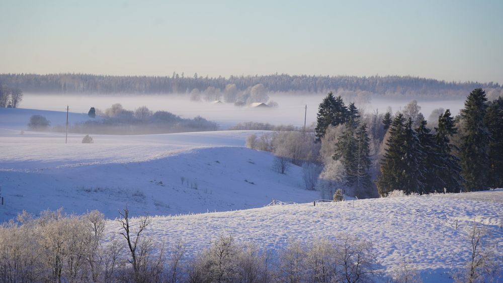 Photograph by Toomas Tõnisalu