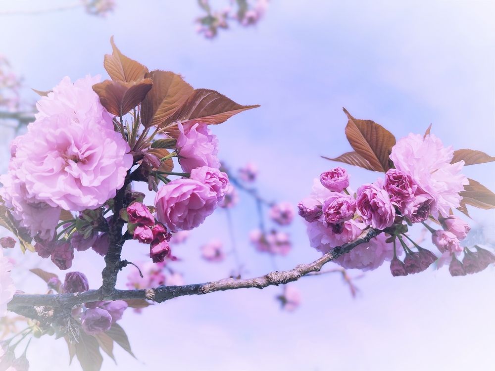 Photograph by Елена Затевалова