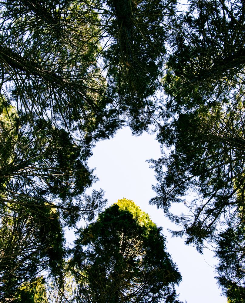 Photograph by Алексей Мордвишин