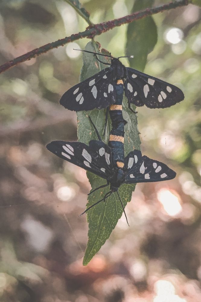 Photograph by Макс Полюхович