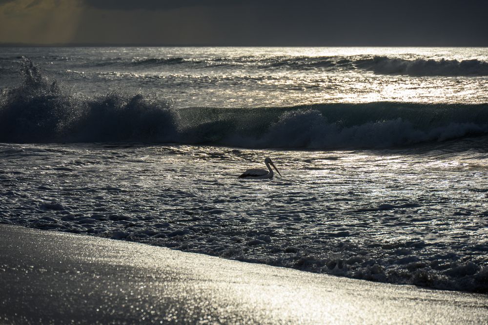 Photograph by Вячеслав Белов