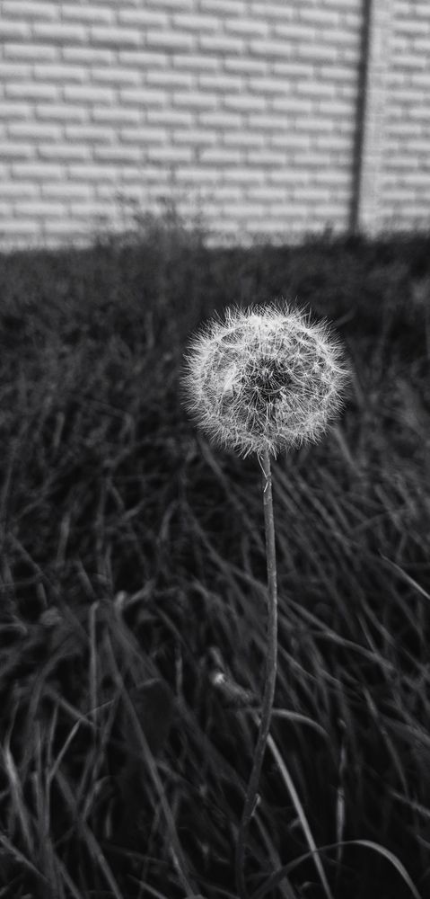 Photograph by Анастасия Никитюк