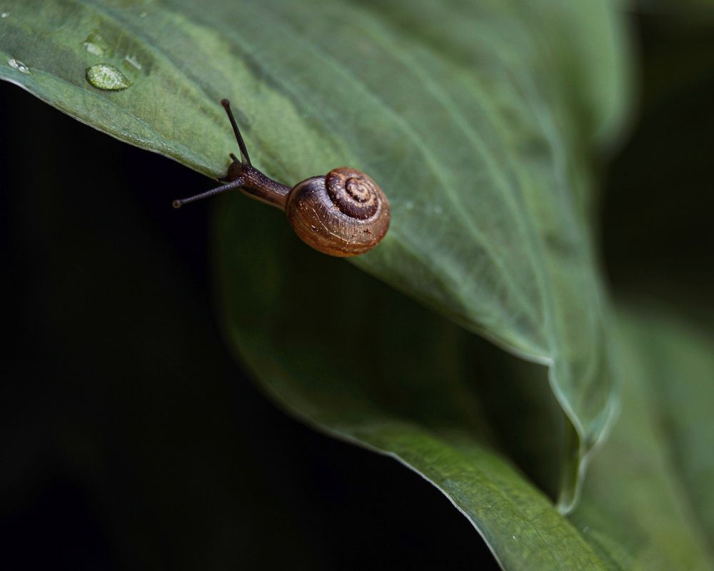 Photograph by Евстратова Оксана