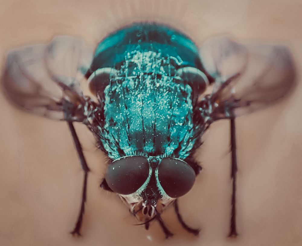 Photograph by Людмила Сергеева