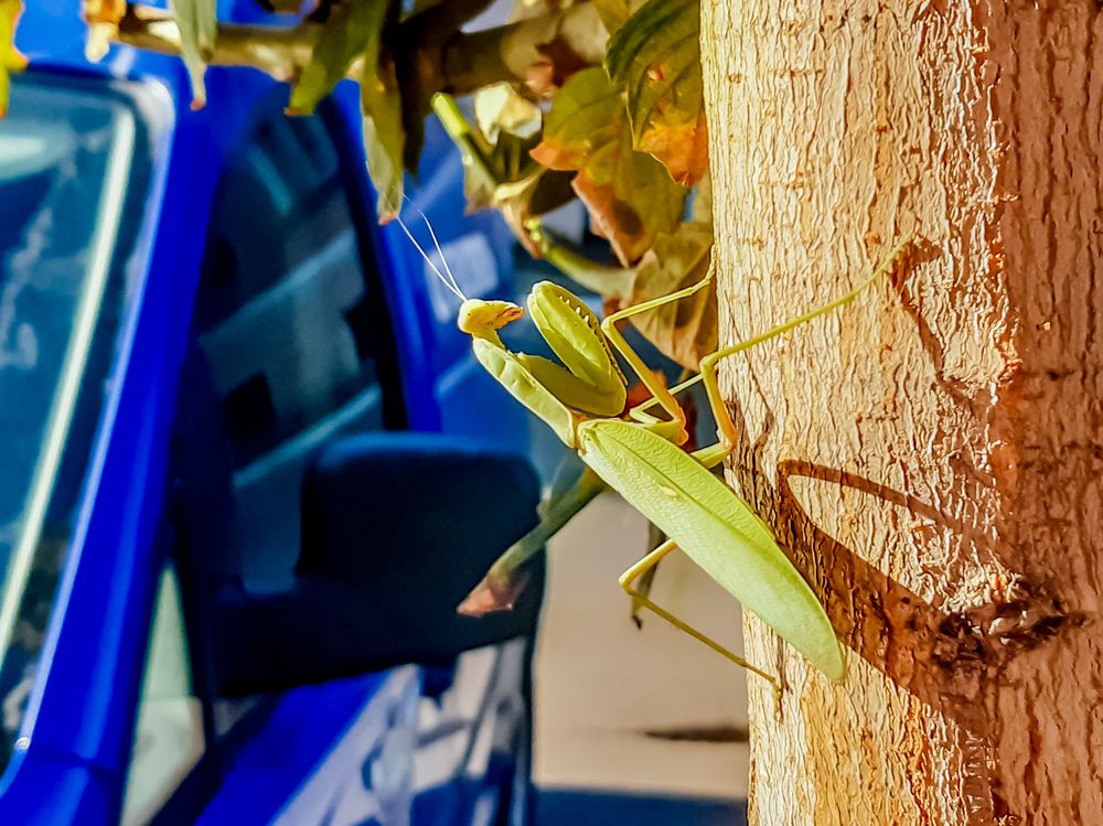 Photograph by Людмила Сергеева