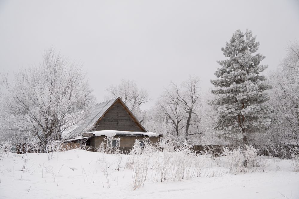 Фотография автора Яна Никольская
