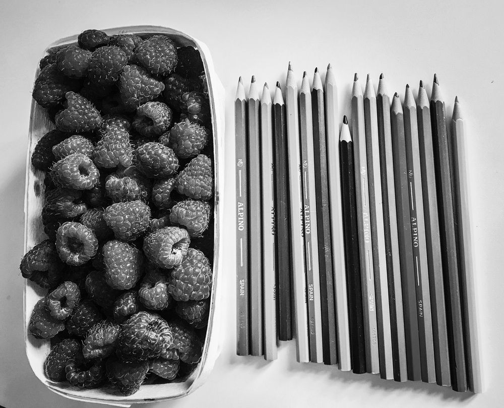 Photograph by Alex Rionir