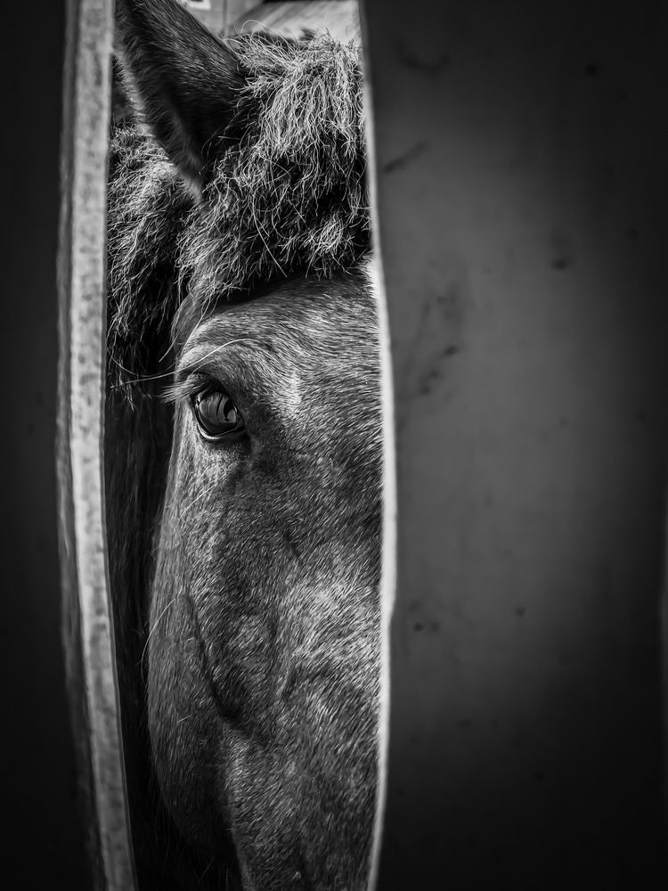 Photograph by Вячеслав Косенков