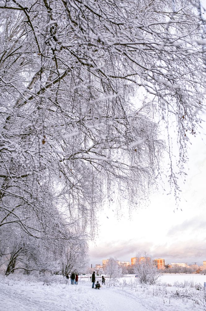 Photograph by Maria Krylova