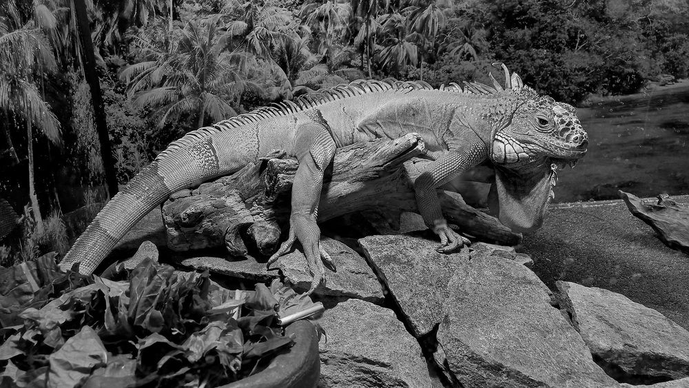 Photograph by Александр