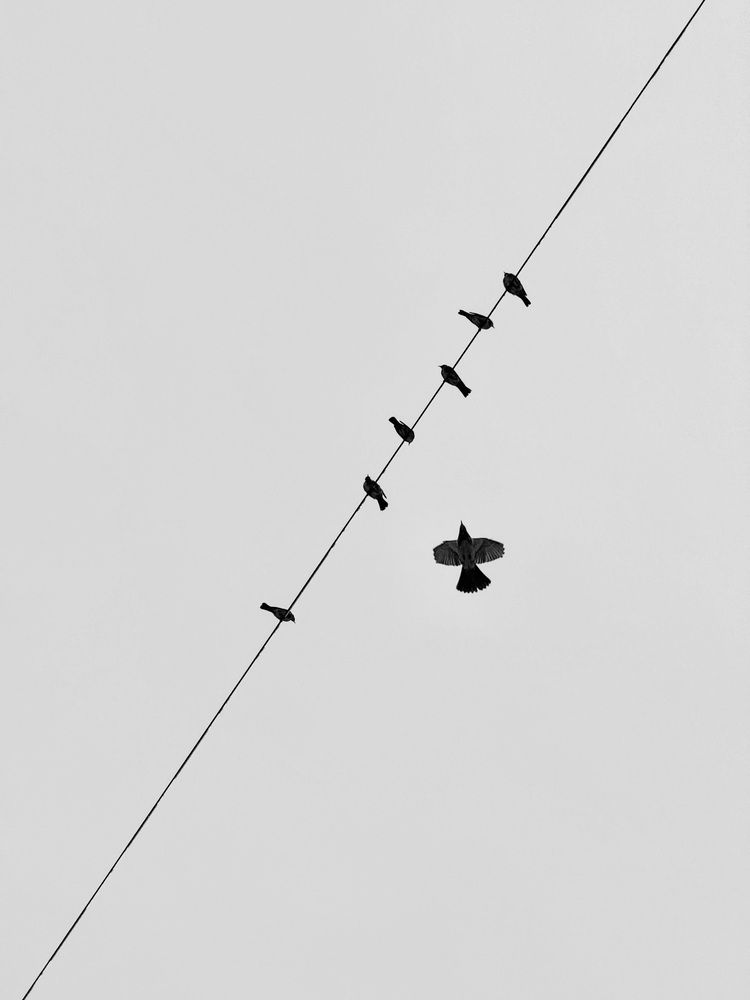 Photograph by Ekaterina