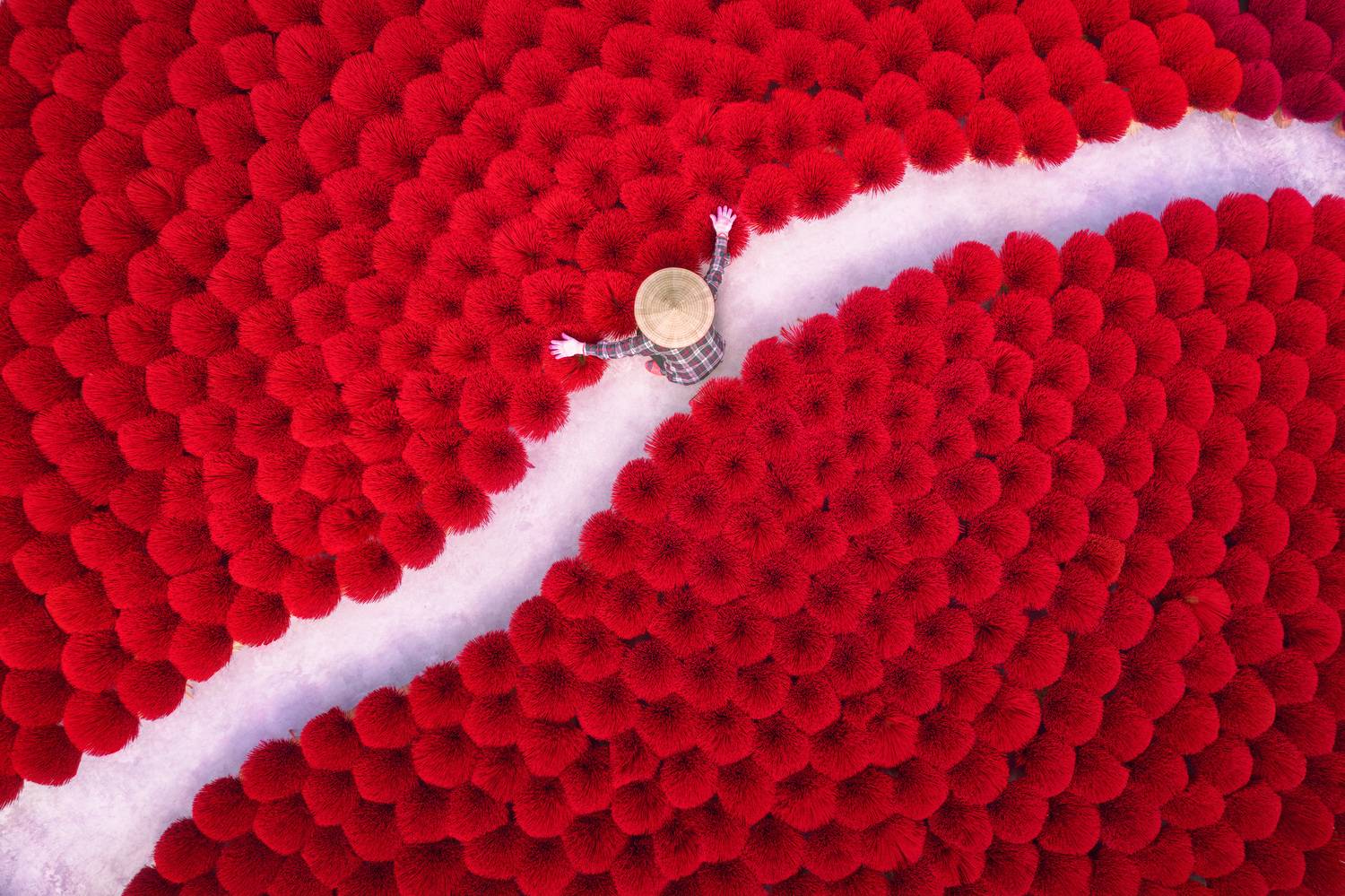 Фотография #11886606