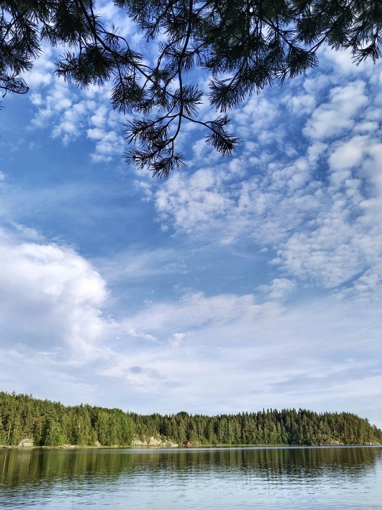 Photo #11886621