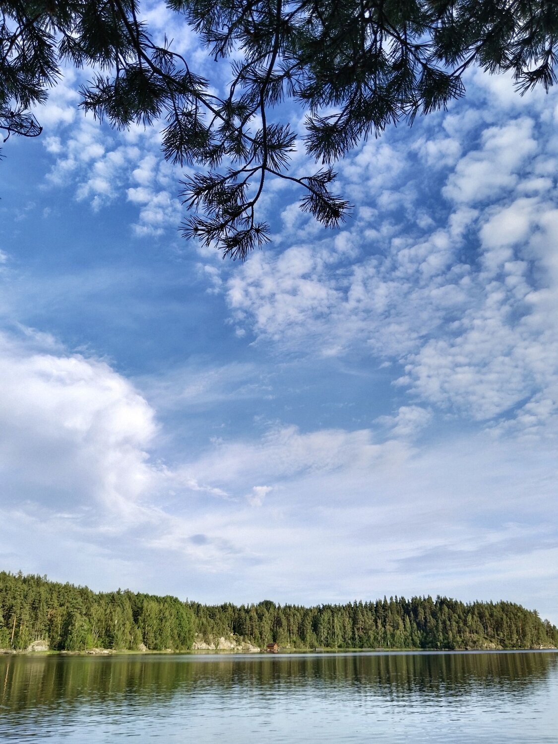 Photo #11886621