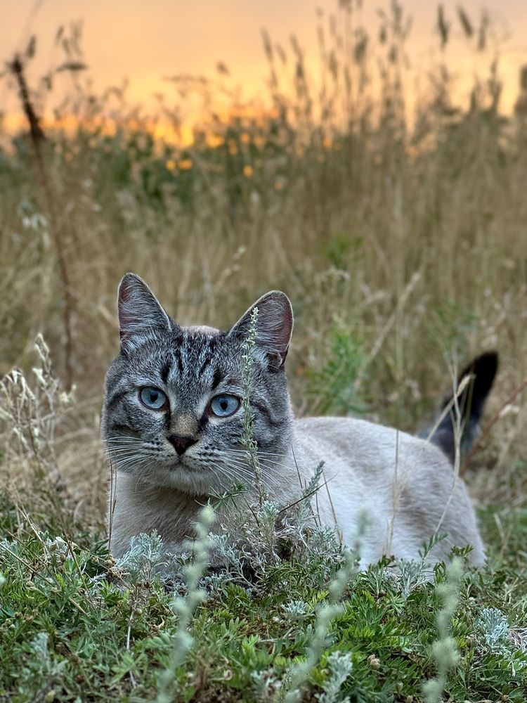 Photograph by Арина Бурда