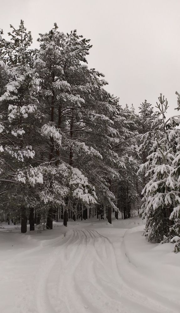 Photograph by Анна