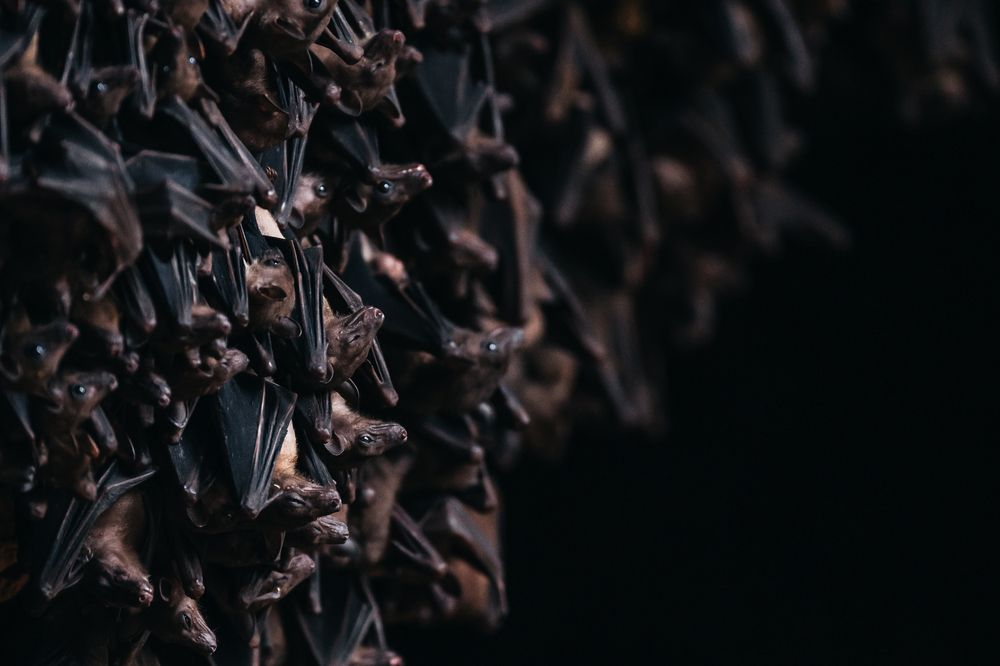 Фотография автора Dmitry Leonov